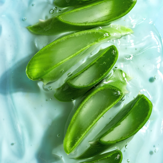 All the benefits and ways you can use aloe Vera